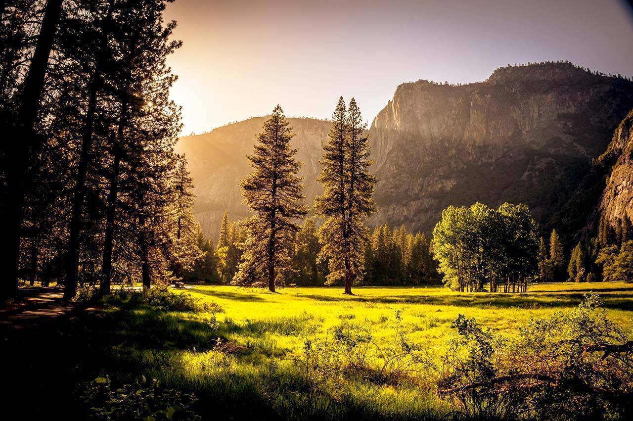 Sunlit trees stand in a grassy meadow, bordered by shadows from surrounding forest. Rugged mountain cliffs rise in the background, illuminated by soft rays of sunset light.